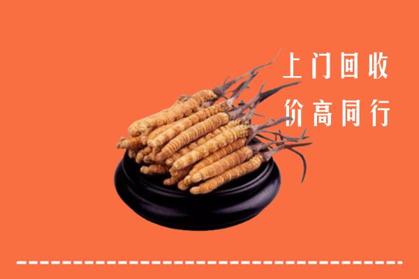 高价求购：周口回收散虫草