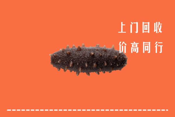 周口回收海参