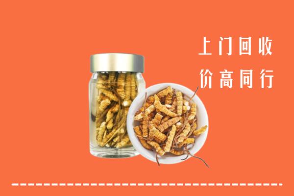 周口回收冬虫夏草
