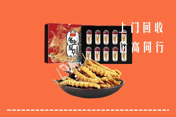 周口回收虫草